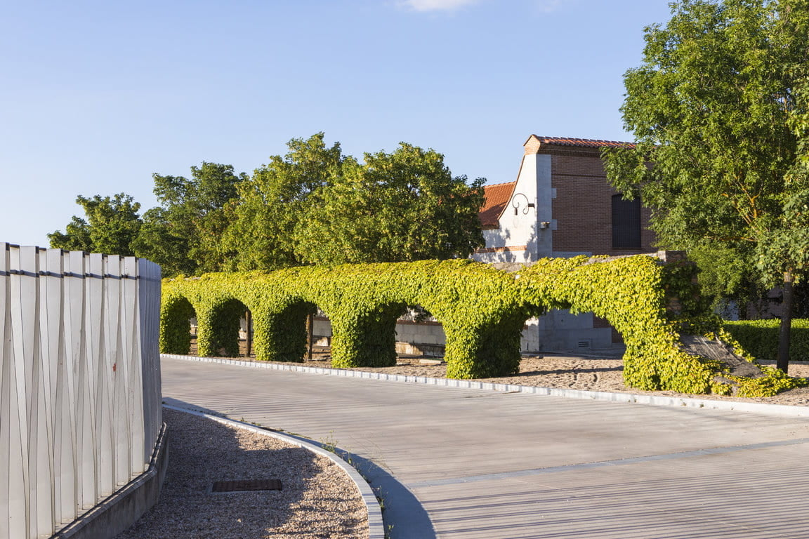 Bodegas y Viñedos Alión