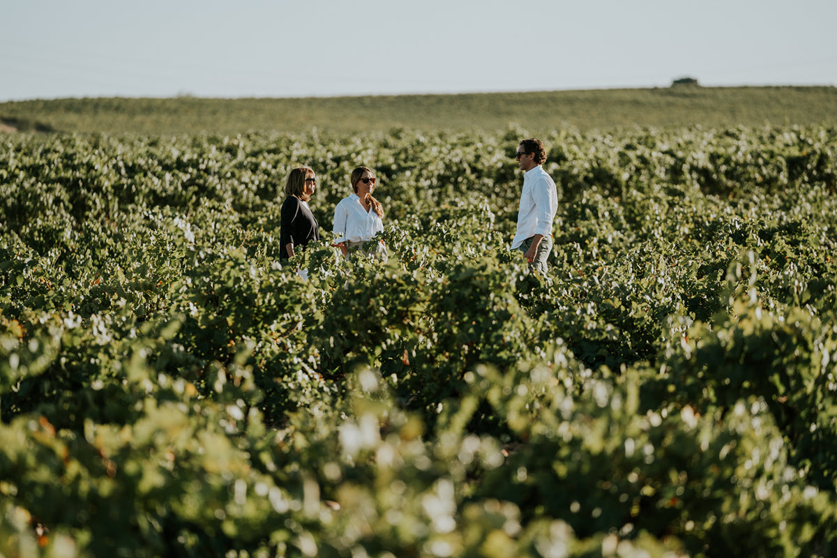 Jose Pariente adquiere bodegas A Vilerma, en O Ribeiro.