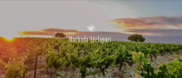 Muchada - Léclapart