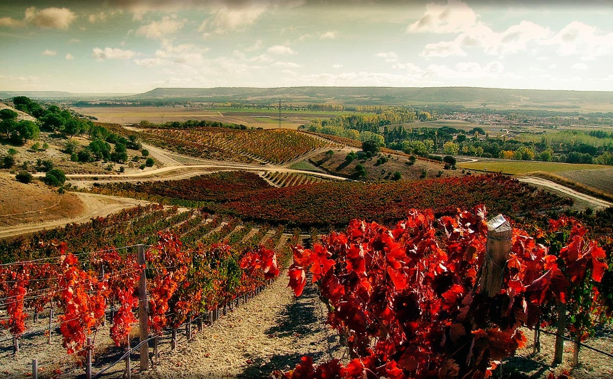 Quinta Sardonia