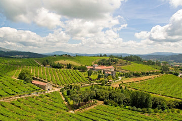 Pazo Baión