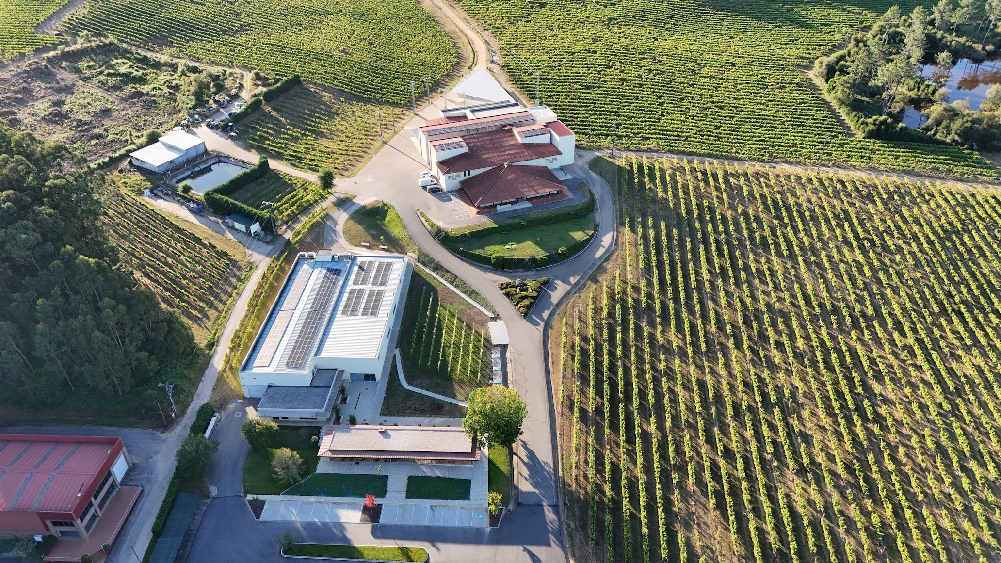 Viñedos Terras Gauda