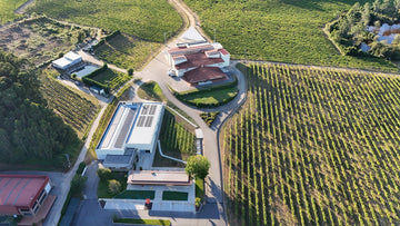 Terras Gauda