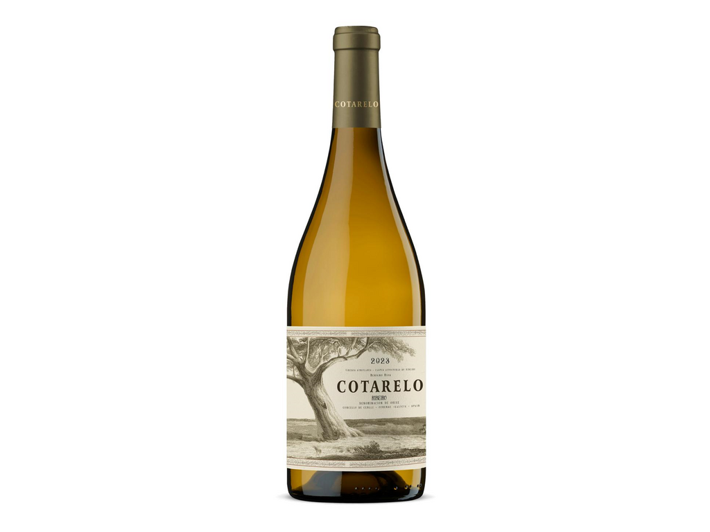 Cotarelo Blanco 2024