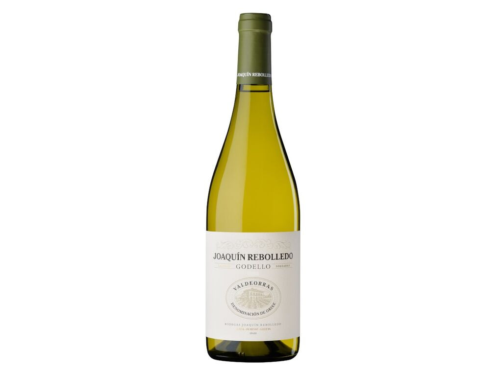 Joaquín Rebolledo Godello 2024