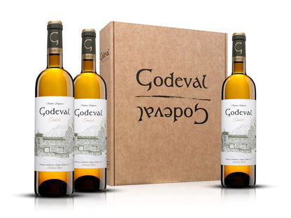 Godeval 2023 (1)