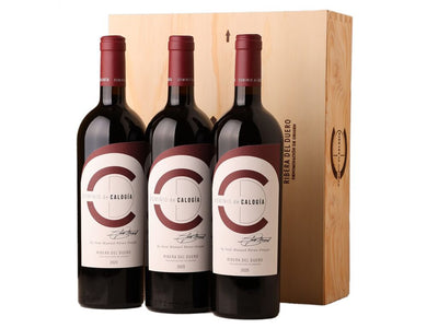 Dominio de Calogía 2022 (1)