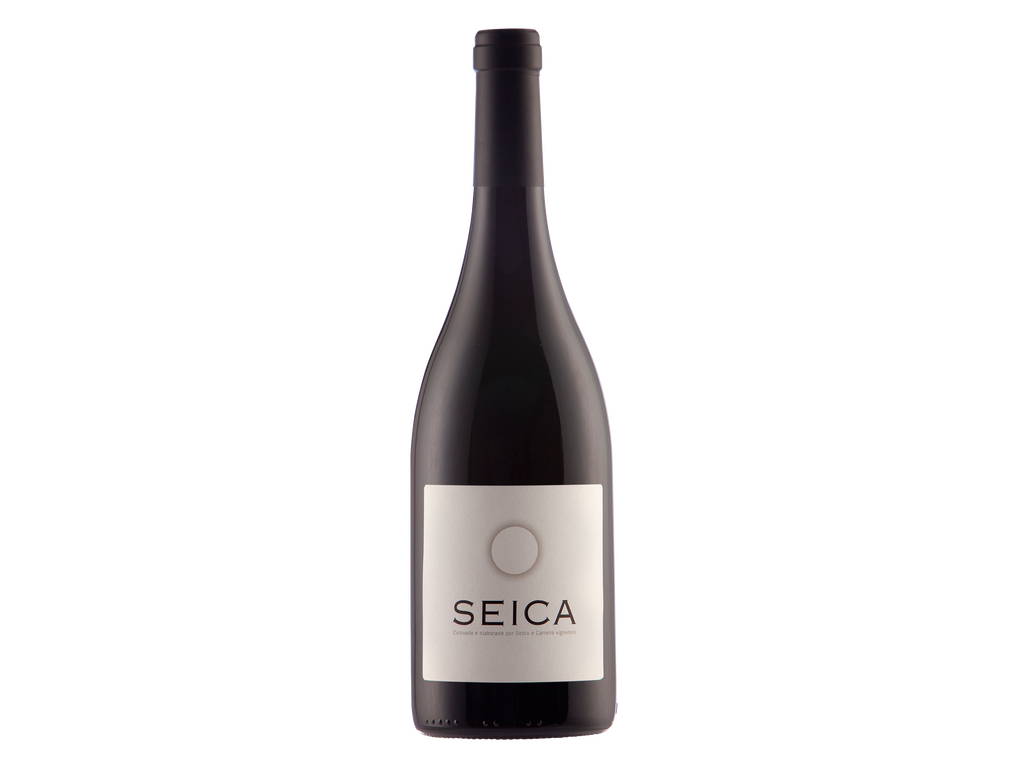 Seica 2011
