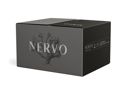 Nervo 2018 (1)