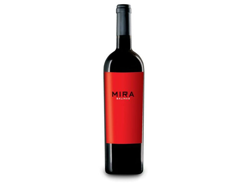 Mira 2008
