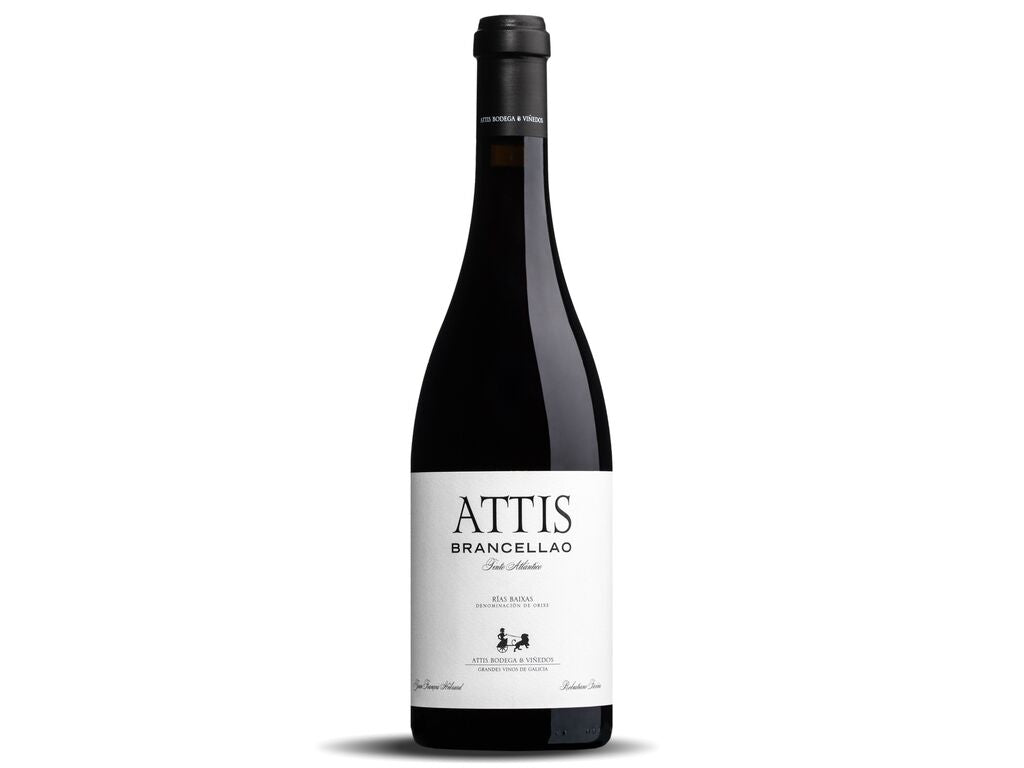 Attis Brancellao 2022